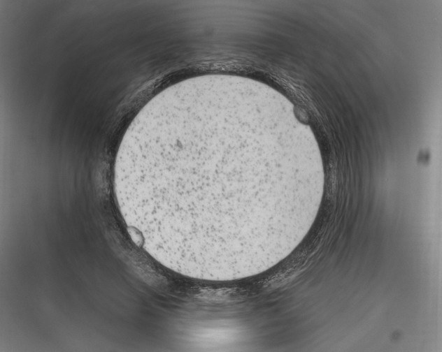 X0000116780450201001281218