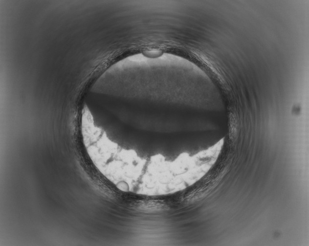 X0000116780451201001281218