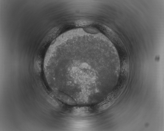 X0000116780452201001281218