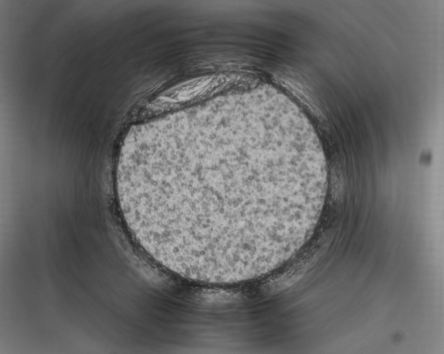 X0000116780453201001281218