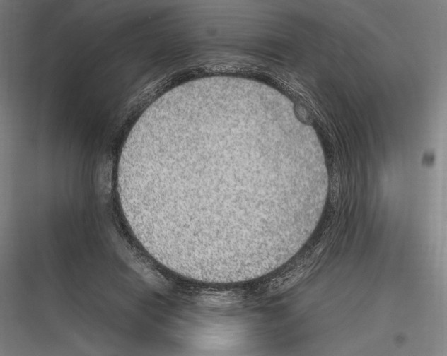 X0000116780454201001281218