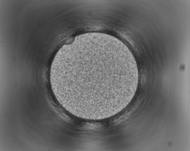 X0000116780455201001281218