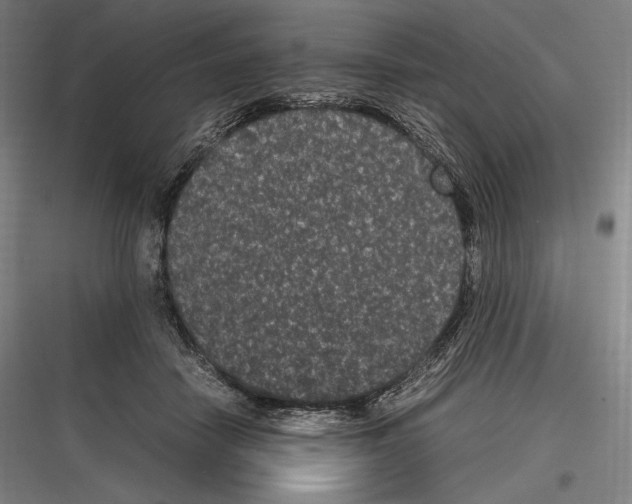 X0000116780458201001281218