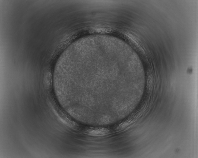 X0000116780459201001281218