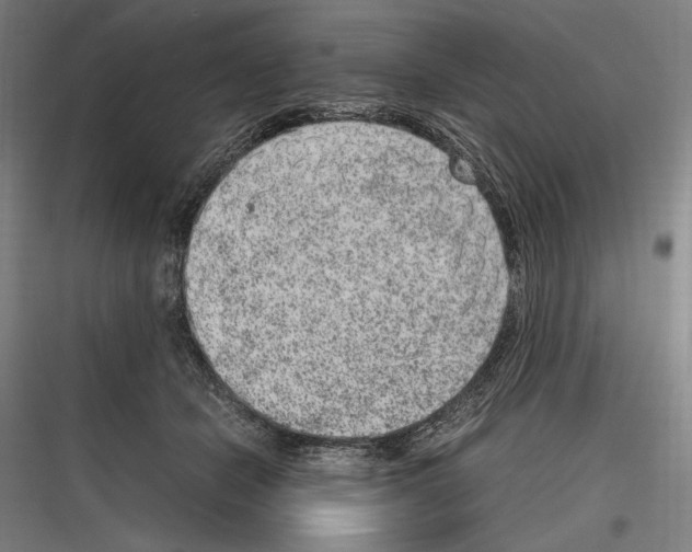 X0000116780462201001281218