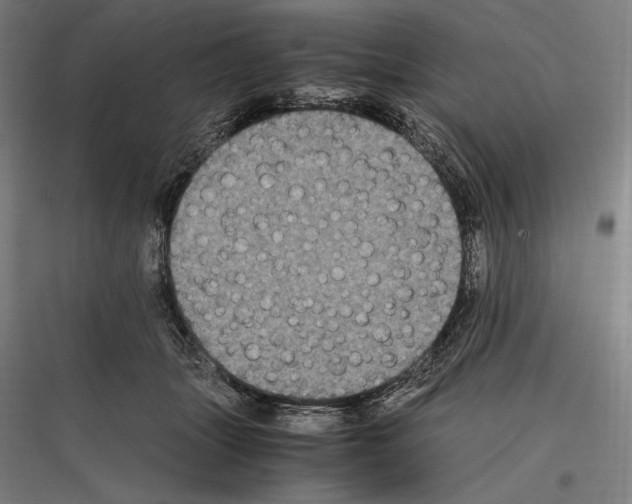 X0000116780463201001281218