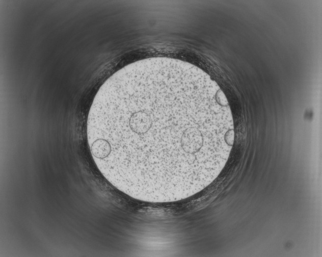 X0000116780464201001281218