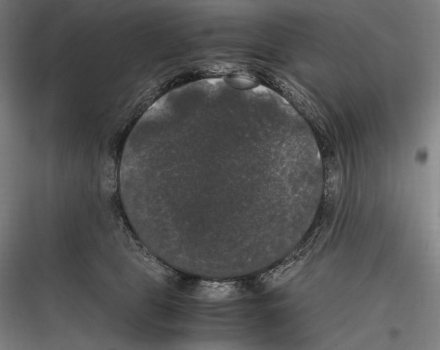 X0000116780469201001281218