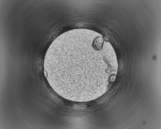 X0000116780470201001281218