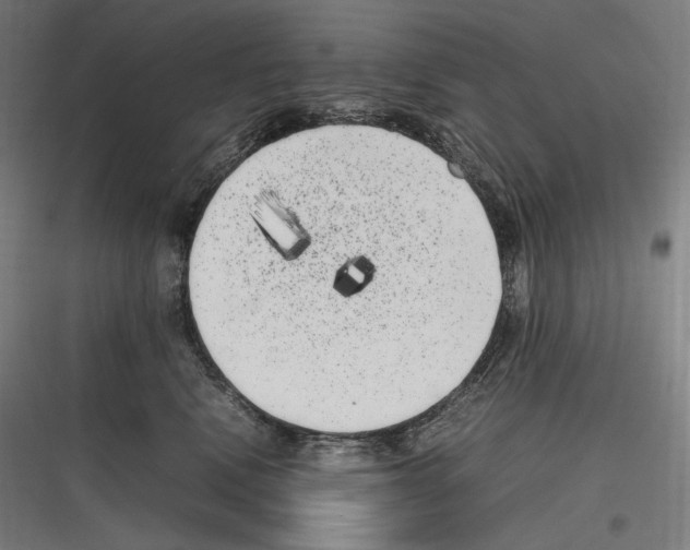 X0000116780472201001281218