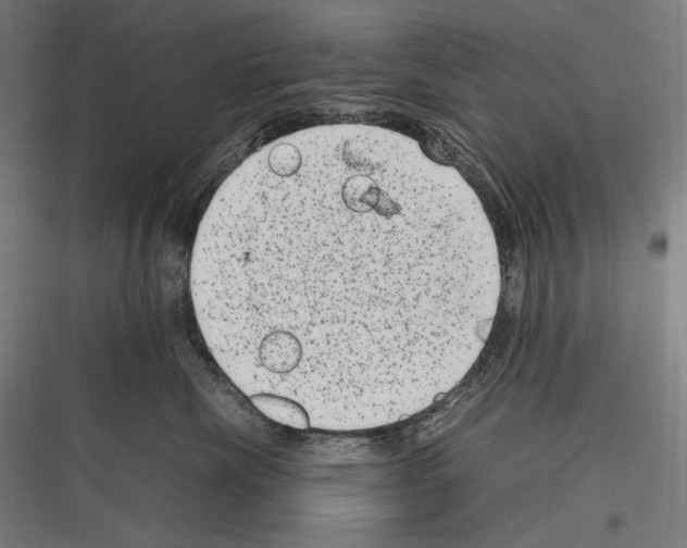 X0000116780476201001281218