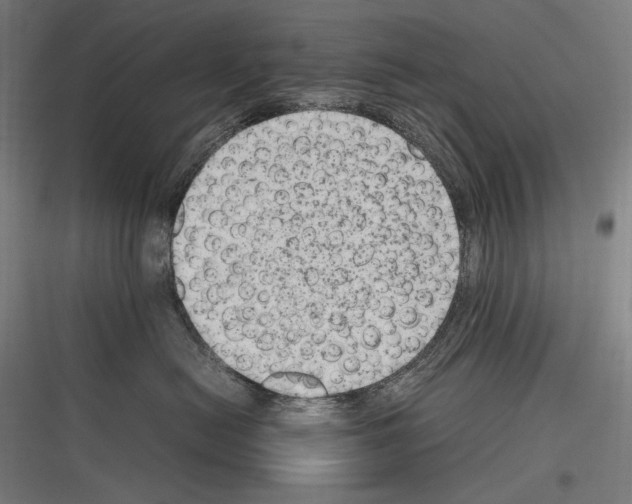 X0000116780478201001281218