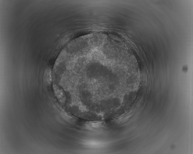 X0000116780479201001281218