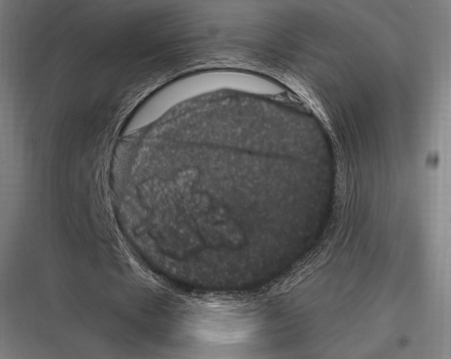 X0000116780481201001281217