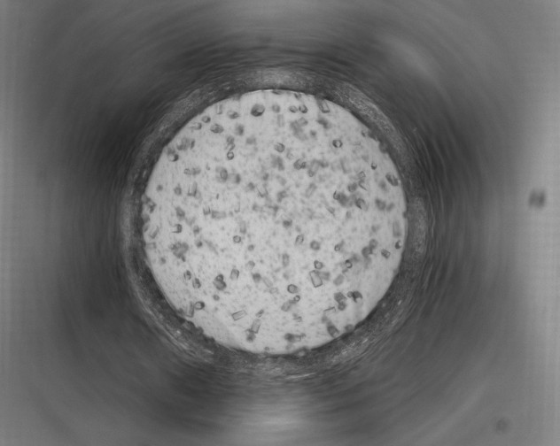 X0000116780482201001281217