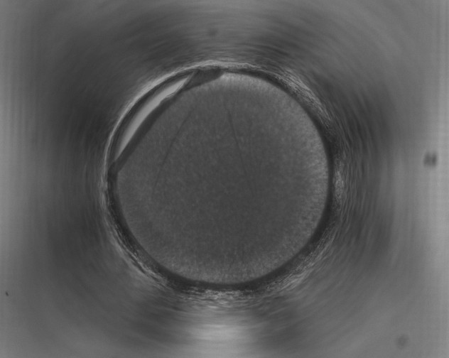 X0000116780484201001281217