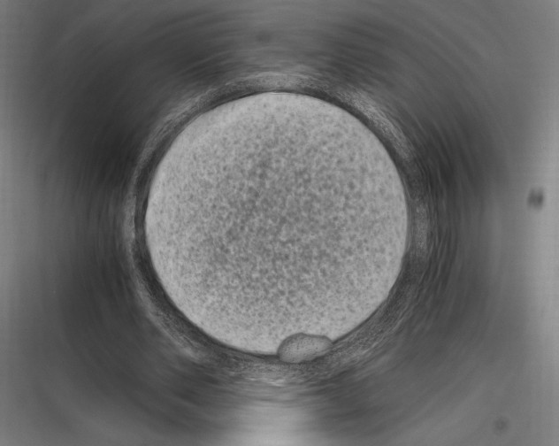 X0000116780486201001281217