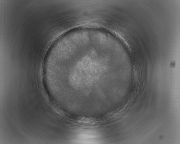 X0000116780487201001281217