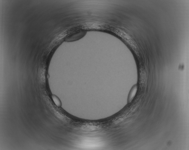 X0000116780489201001281217