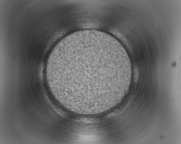 X0000116780490201001281217