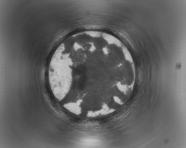 X0000116780491201001281217