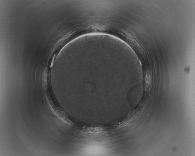 X0000116780492201001281217