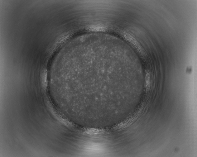 X0000116780494201001281217