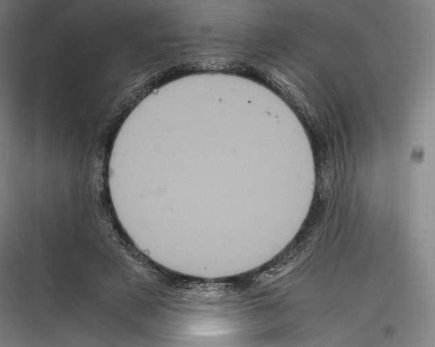 X0000116780497201001281217