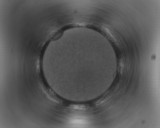 X0000116780500201001281217