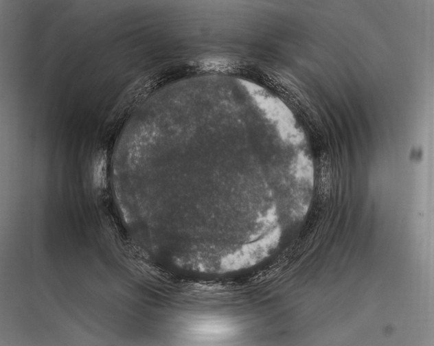 X0000116780502201001281217