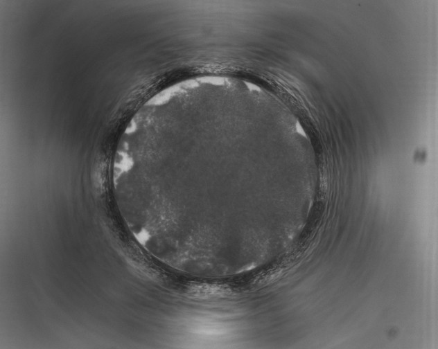 X0000116780503201001281217