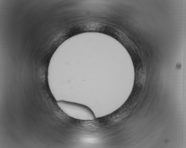 X0000116780505201001281217