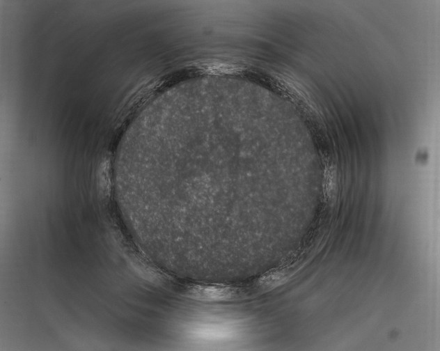 X0000116780506201001281217