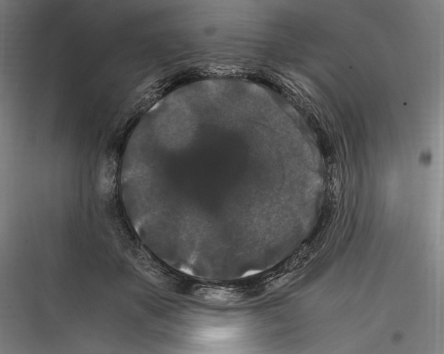 X0000116780507201001281217