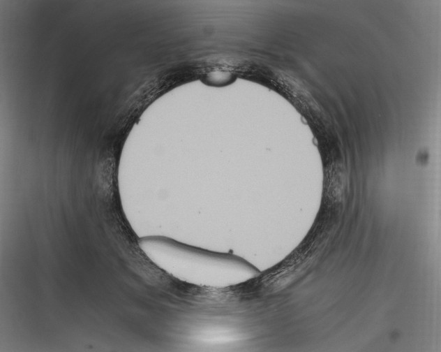 X0000116780509201001281217