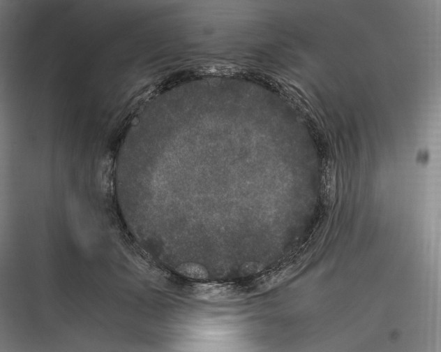 X0000116780511201001281217