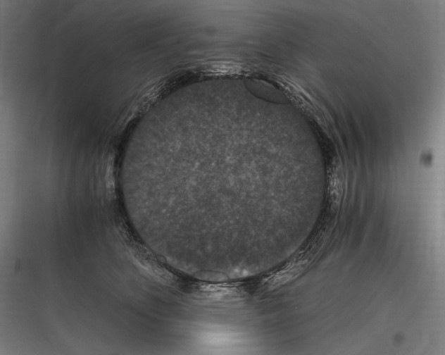 X0000116780516201001281217