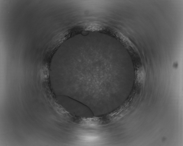 X0000116780517201001281217