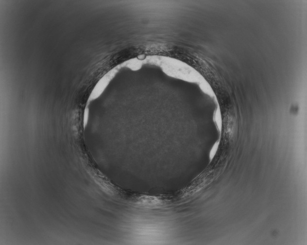 X0000116780519201001281217