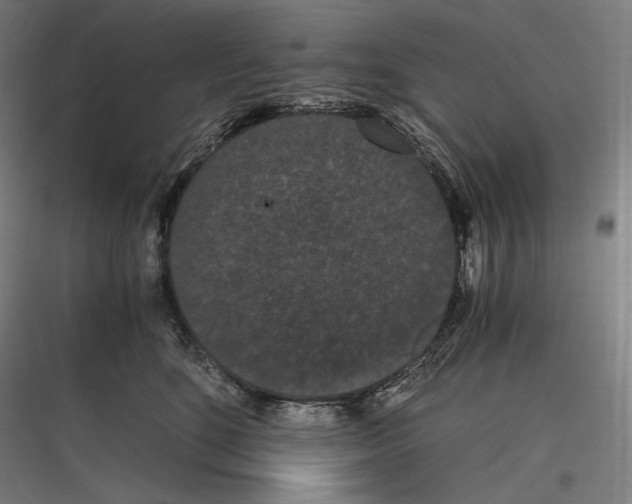 X0000116780520201001281217