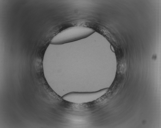 X0000116780521201001281217