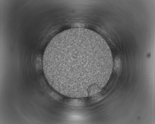 X0000116780522201001281217