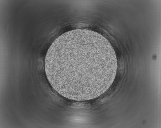 X0000116780523201001281217