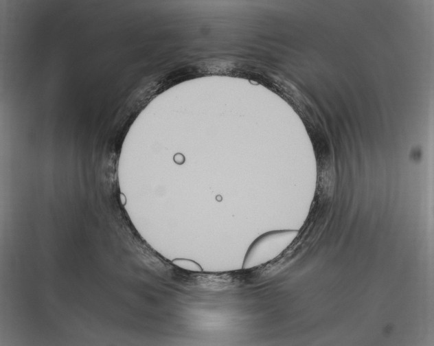 X0000116780525201001281217