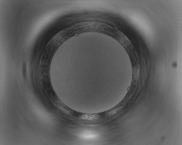 X0000116780526201001281217