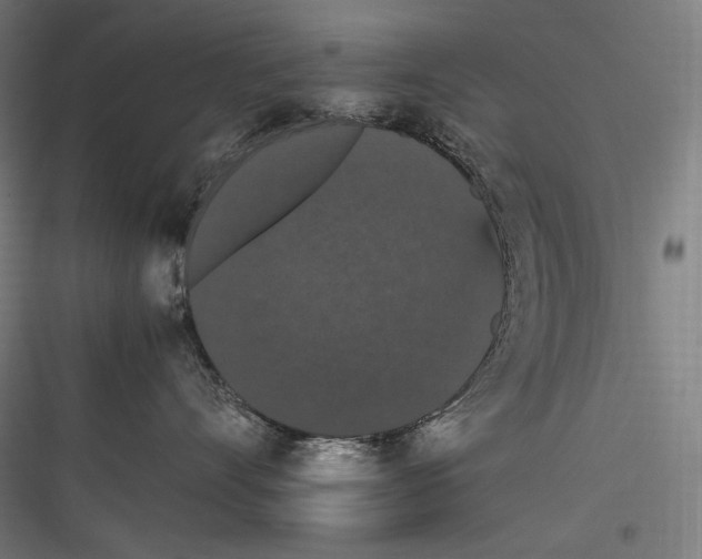 X0000116780528201001281217