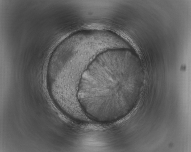 X0000116780529201001281216