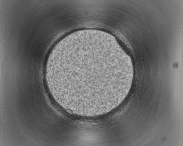 X0000116780530201001281216