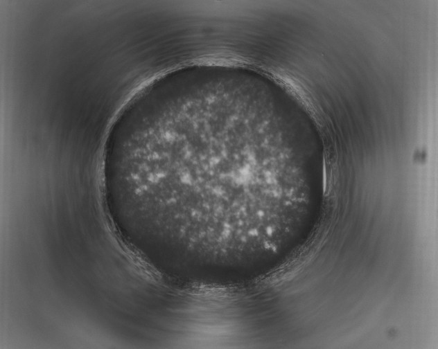 X0000116780531201001281216