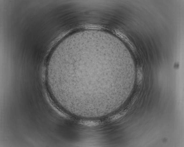 X0000116780533201001281216